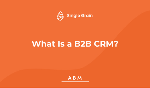What Is a B2B CRM?
